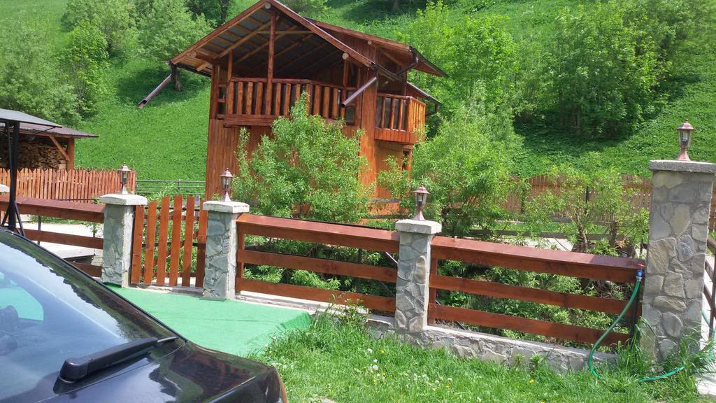 Pensiunea Malina Moeciu De Sus Bagian luar foto
