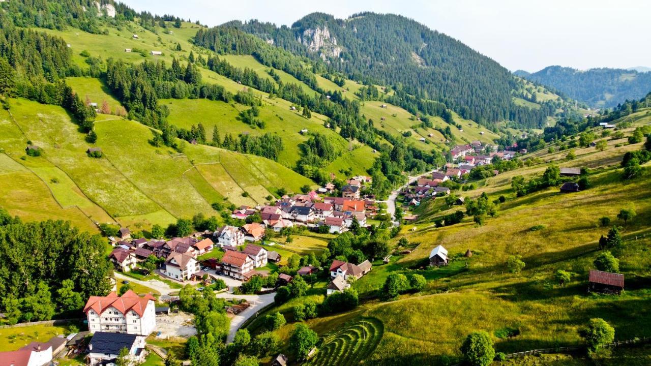 Pensiunea Malina Moeciu De Sus Bagian luar foto