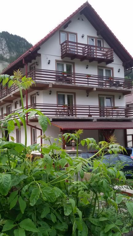 Pensiunea Malina Moeciu De Sus Bagian luar foto