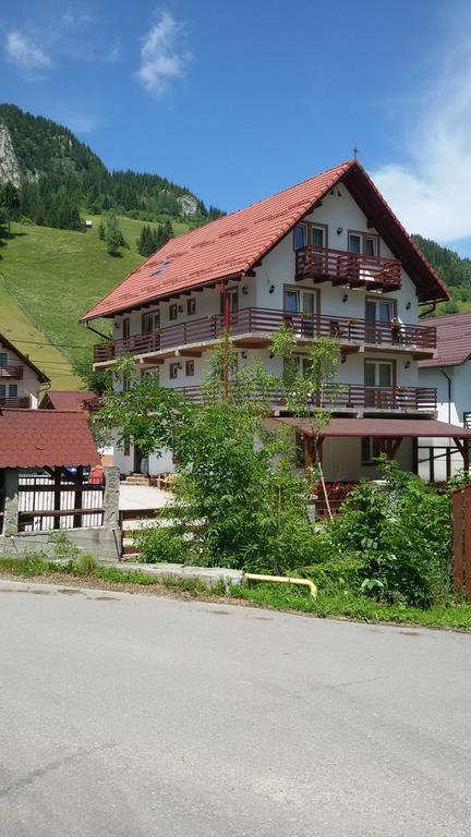 Pensiunea Malina Moeciu De Sus Bagian luar foto